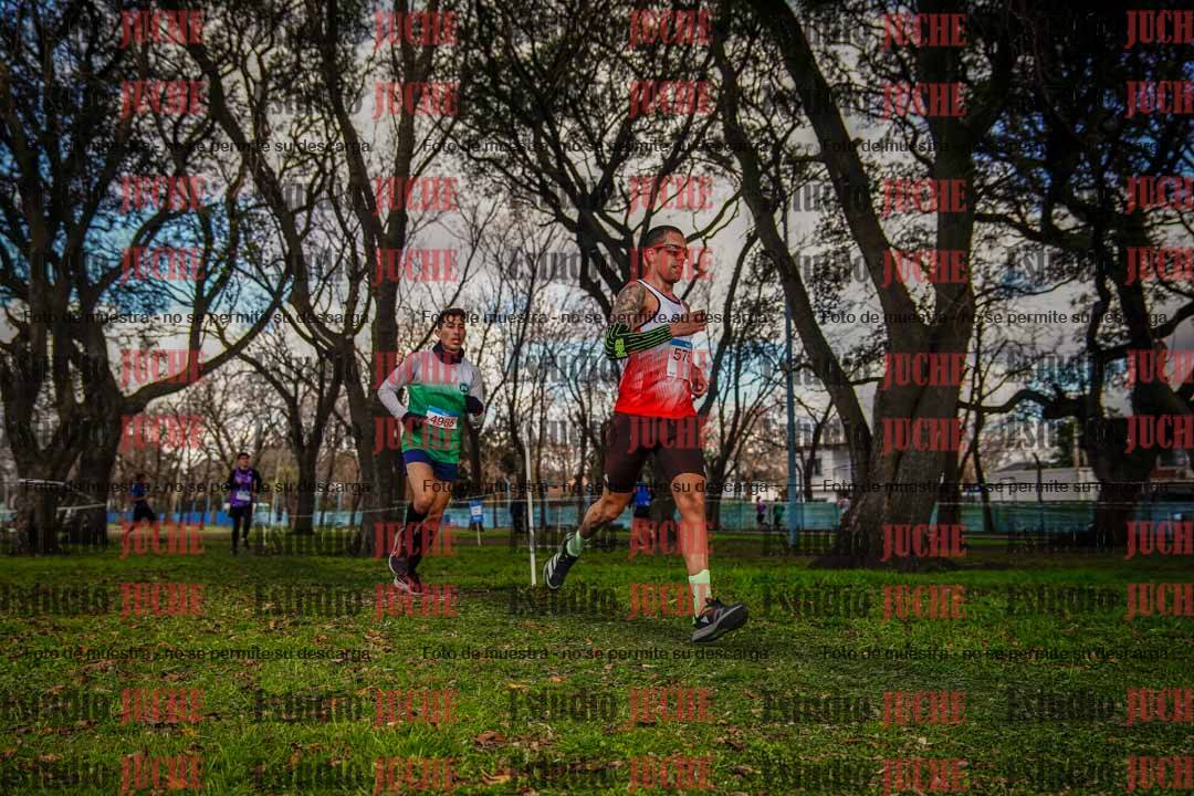 Fotos en el circuito