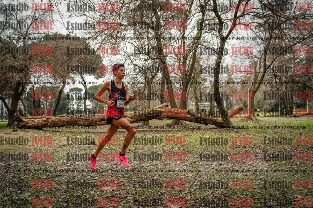 Fotos en el circuito