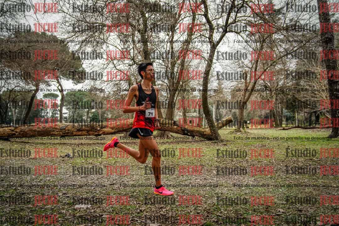 Fotos en el circuito