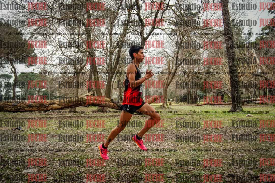 Fotos en el circuito