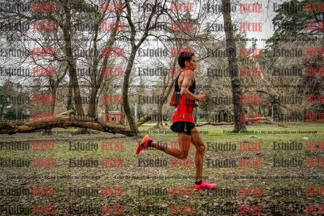Fotos en el circuito