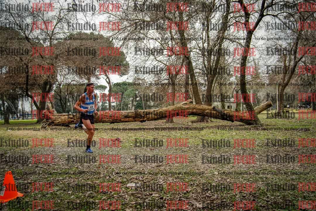 Fotos en el circuito