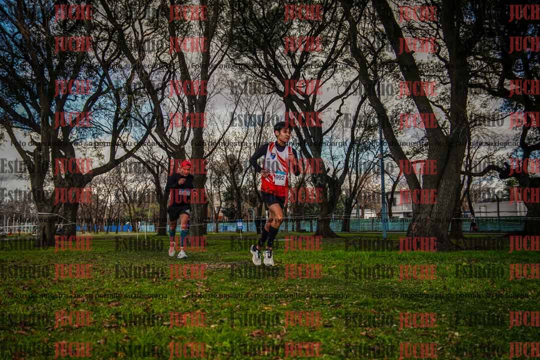 Fotos en el circuito