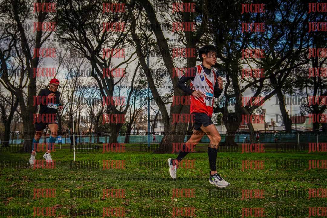 Fotos en el circuito