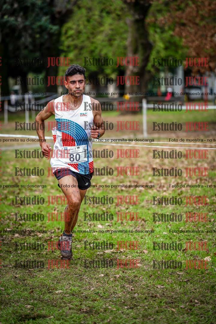 Fotos en el circuito