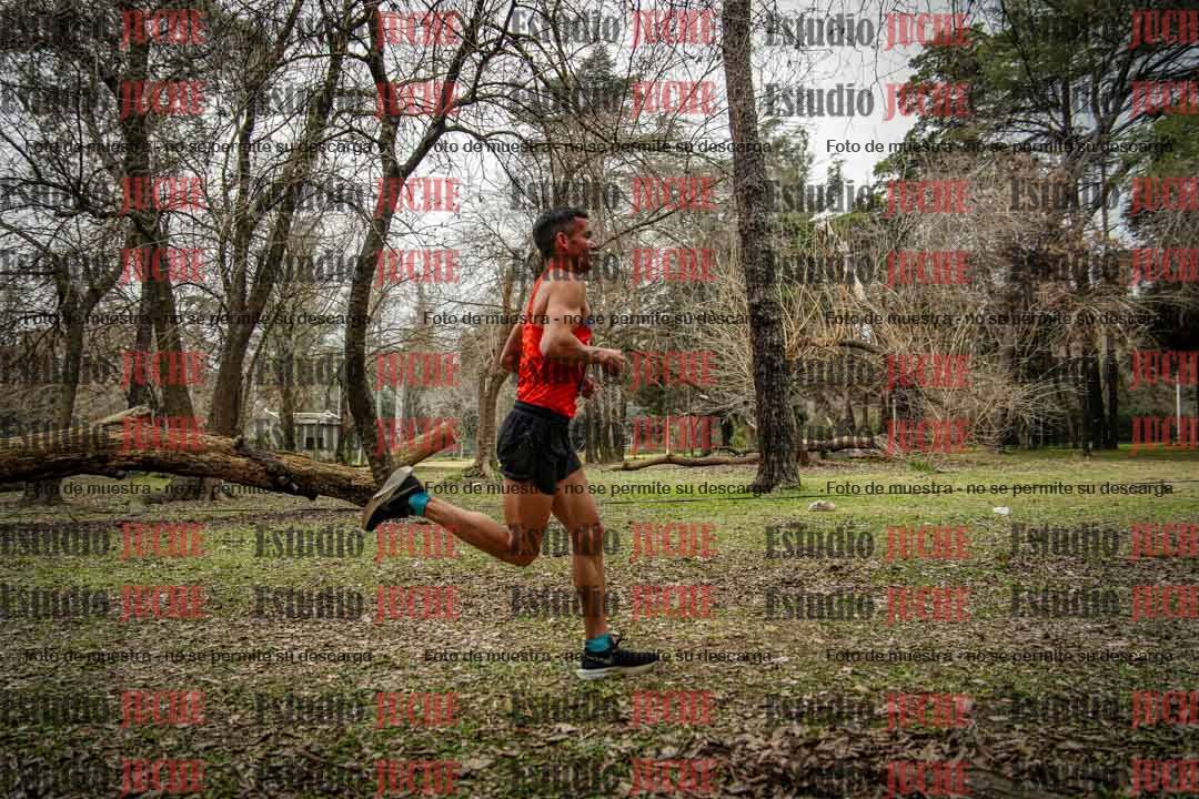 Fotos en el circuito
