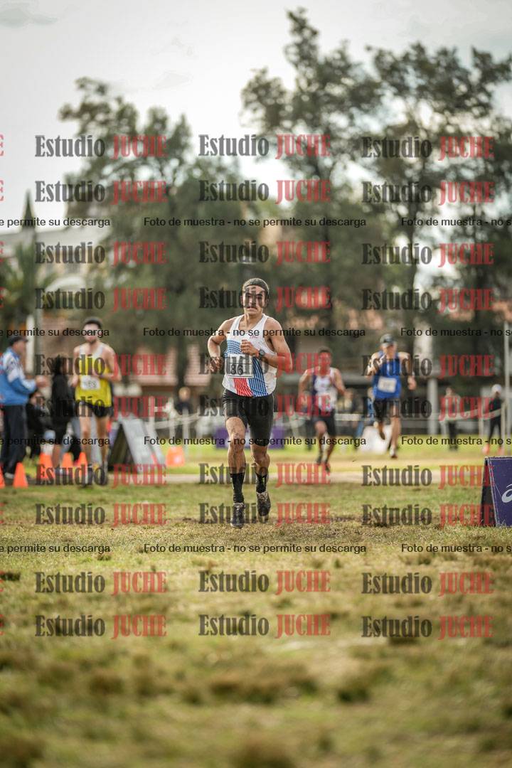 Fotos de la llegada