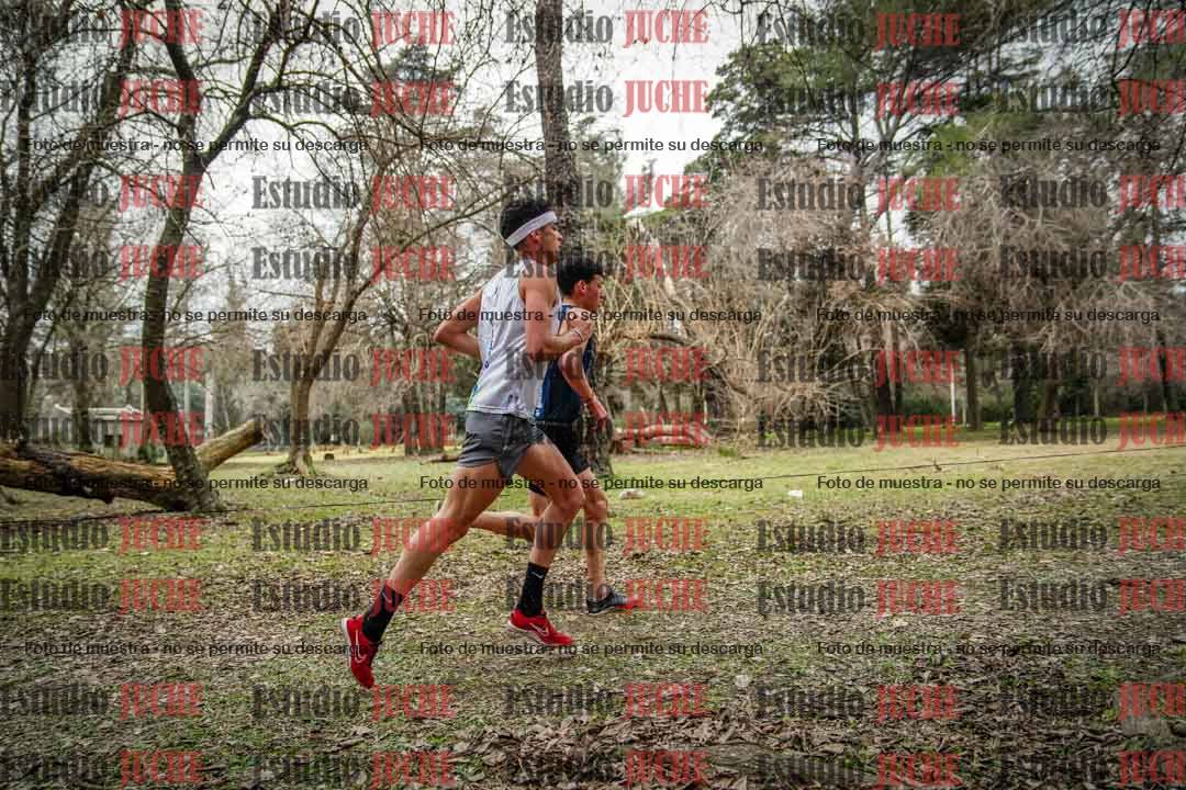 Fotos en el circuito