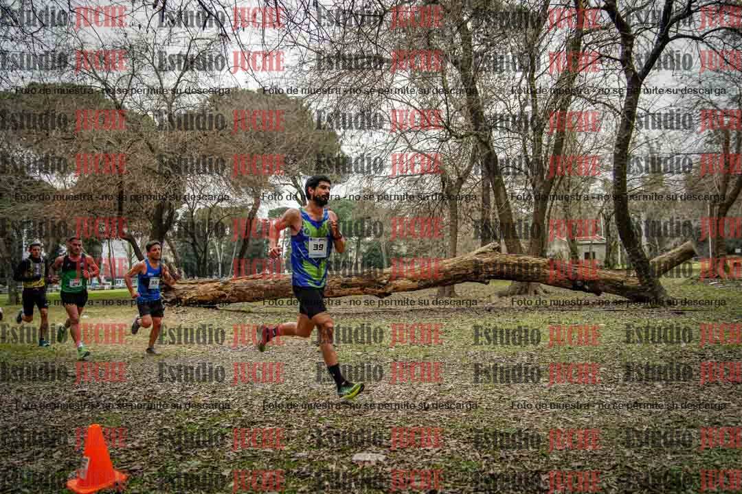 Fotos en el circuito