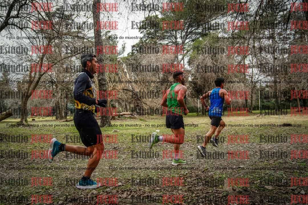 Fotos en el circuito
