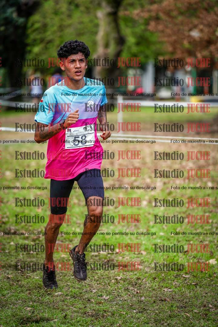 Fotos en el circuito