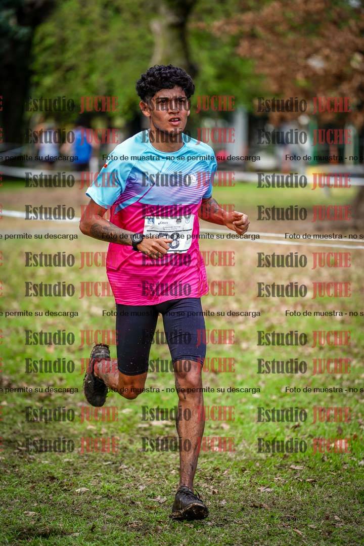 Fotos en el circuito