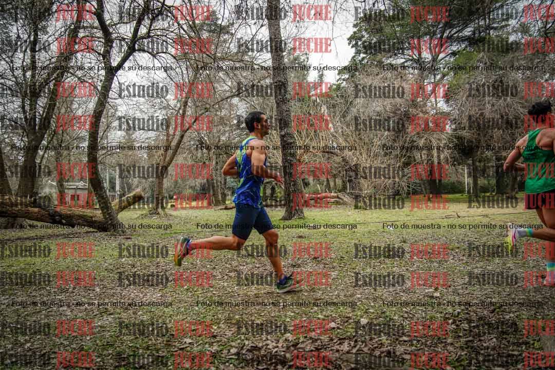 Fotos en el circuito