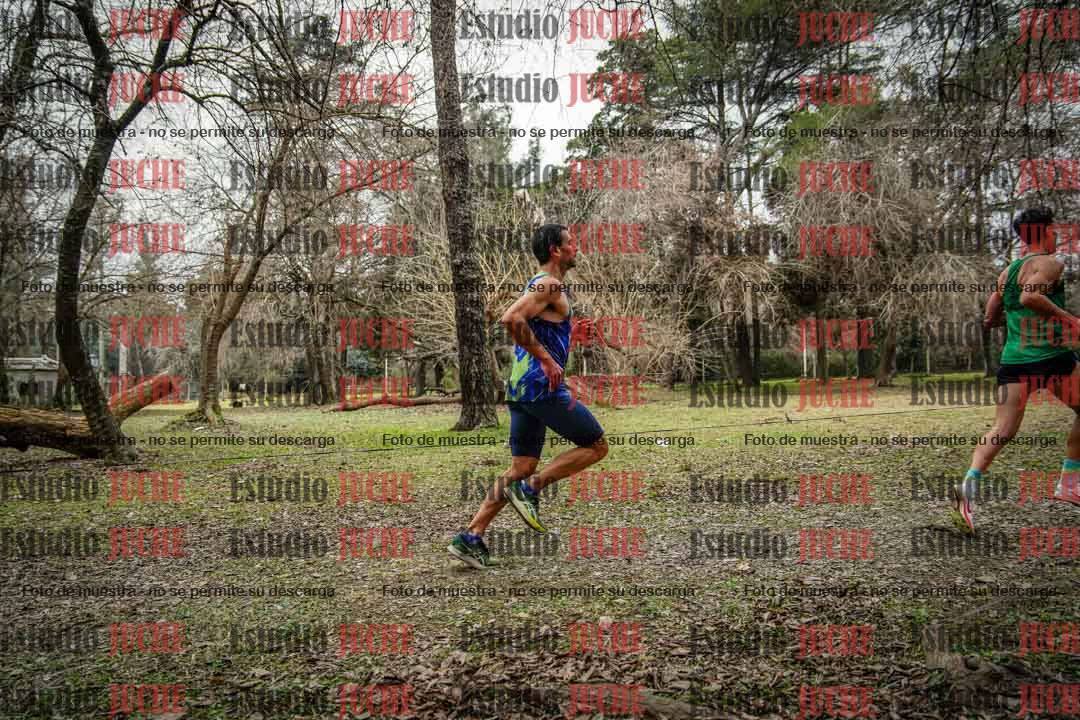 Fotos en el circuito