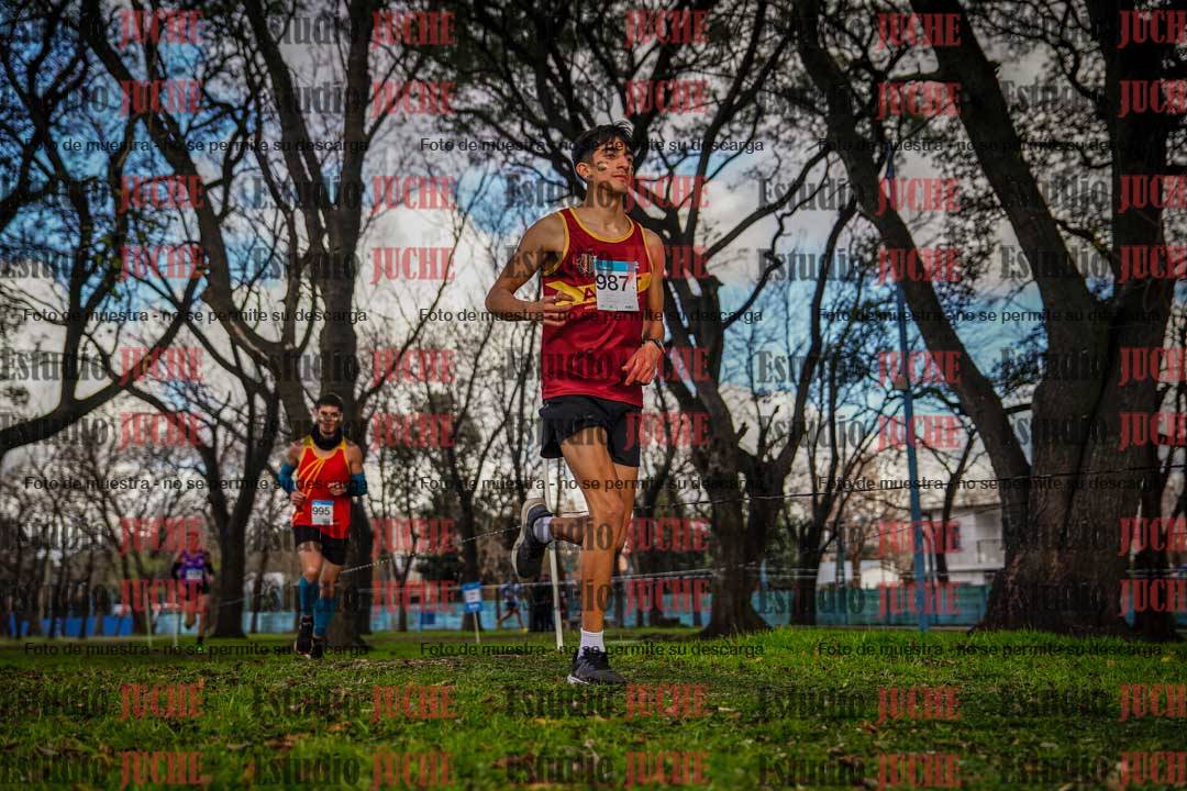 Fotos en el circuito