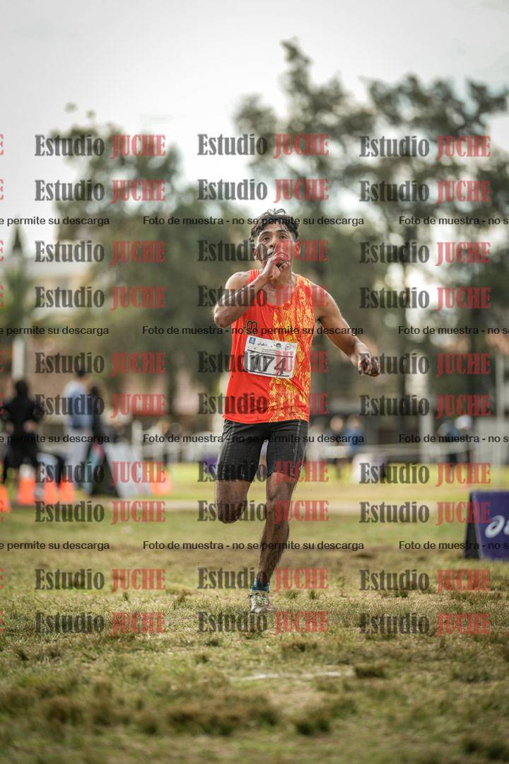 Fotos de la llegada