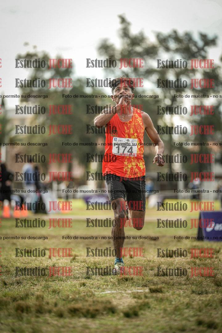 Fotos de la llegada