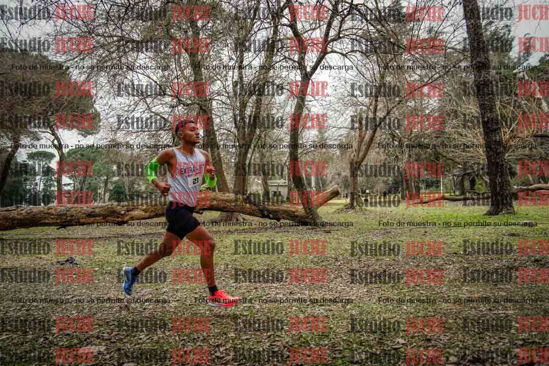 Fotos en el circuito