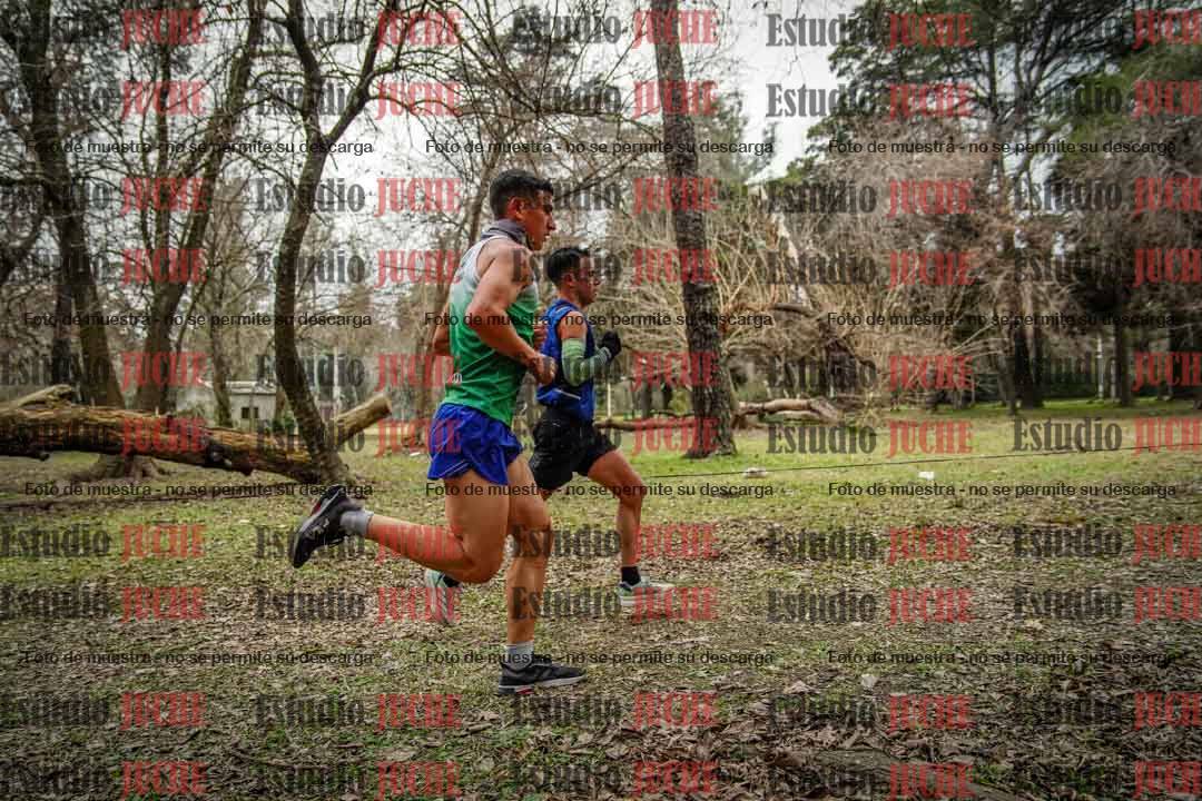 Fotos en el circuito