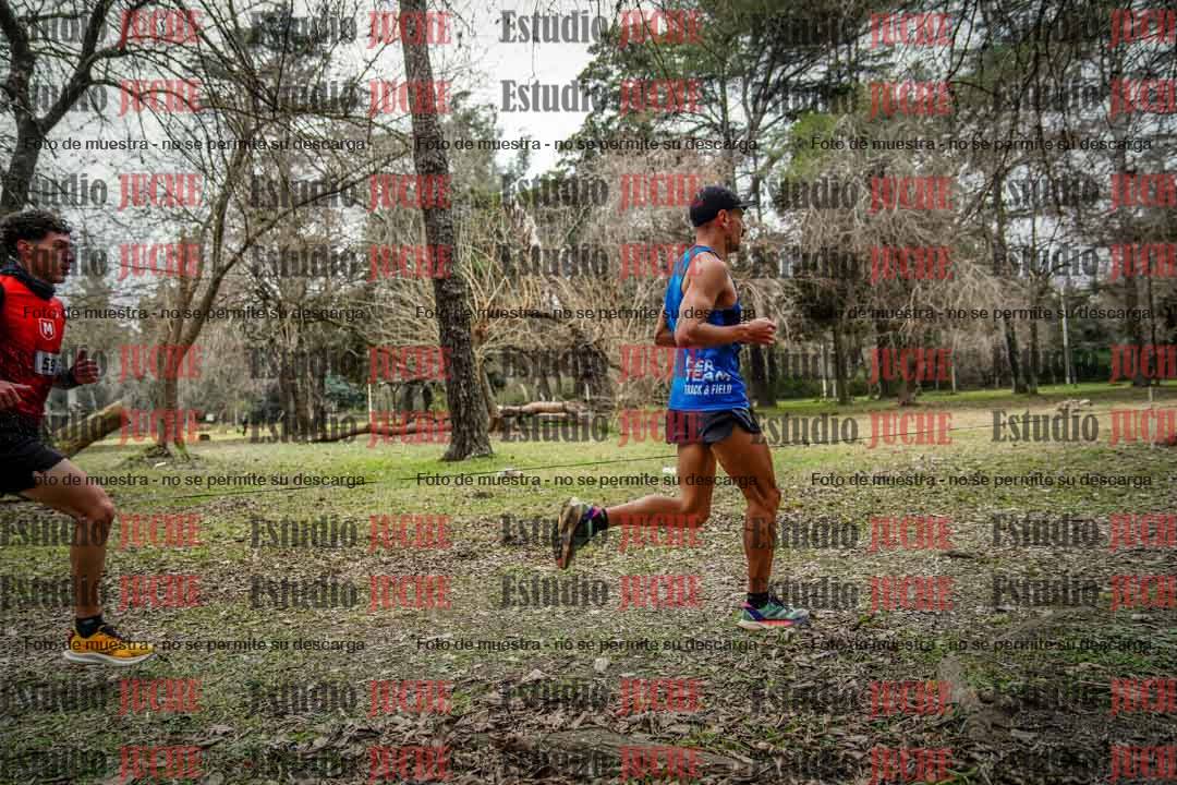 Fotos en el circuito