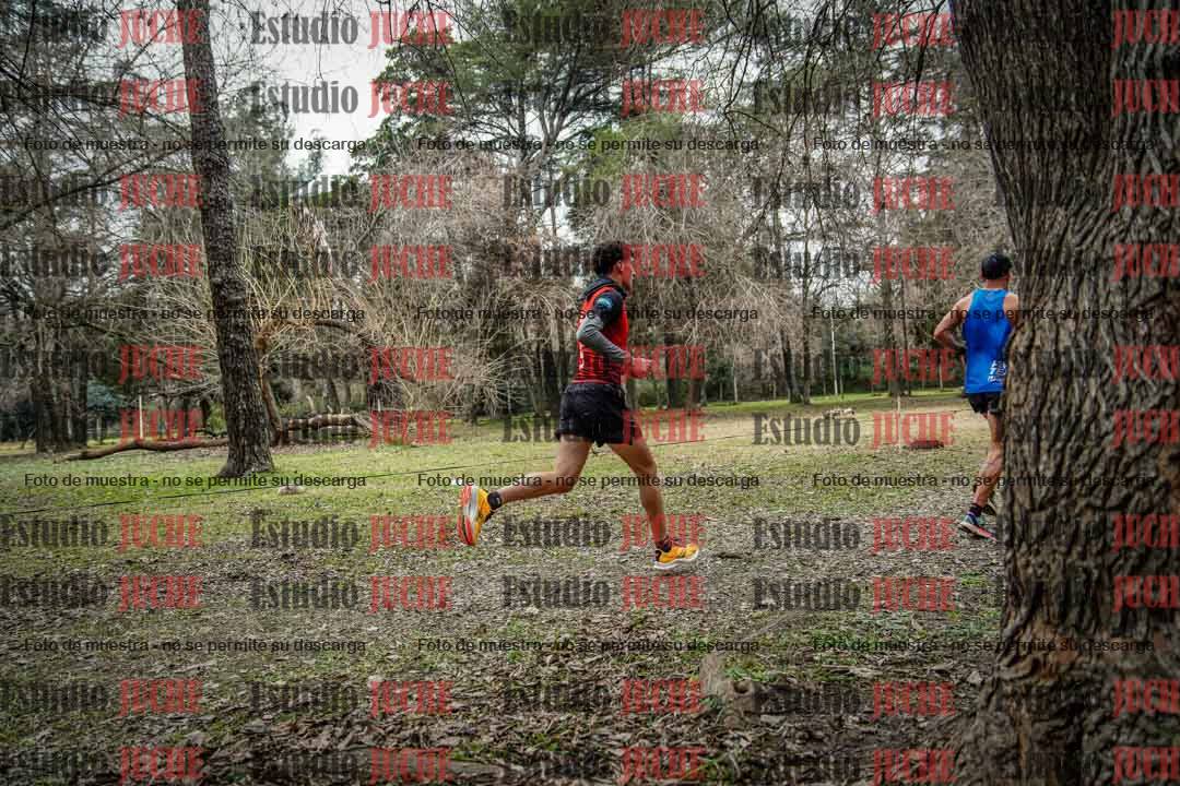 Fotos en el circuito