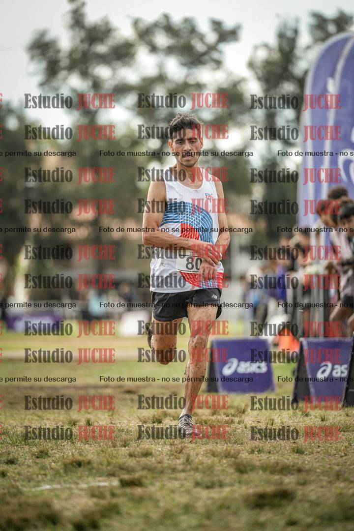 Fotos de la llegada