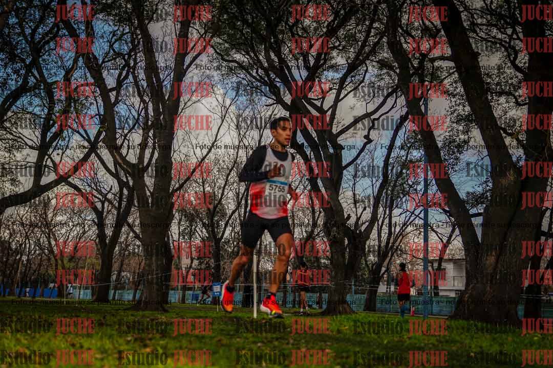 Fotos en el circuito