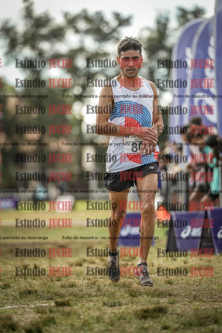 Fotos de la llegada