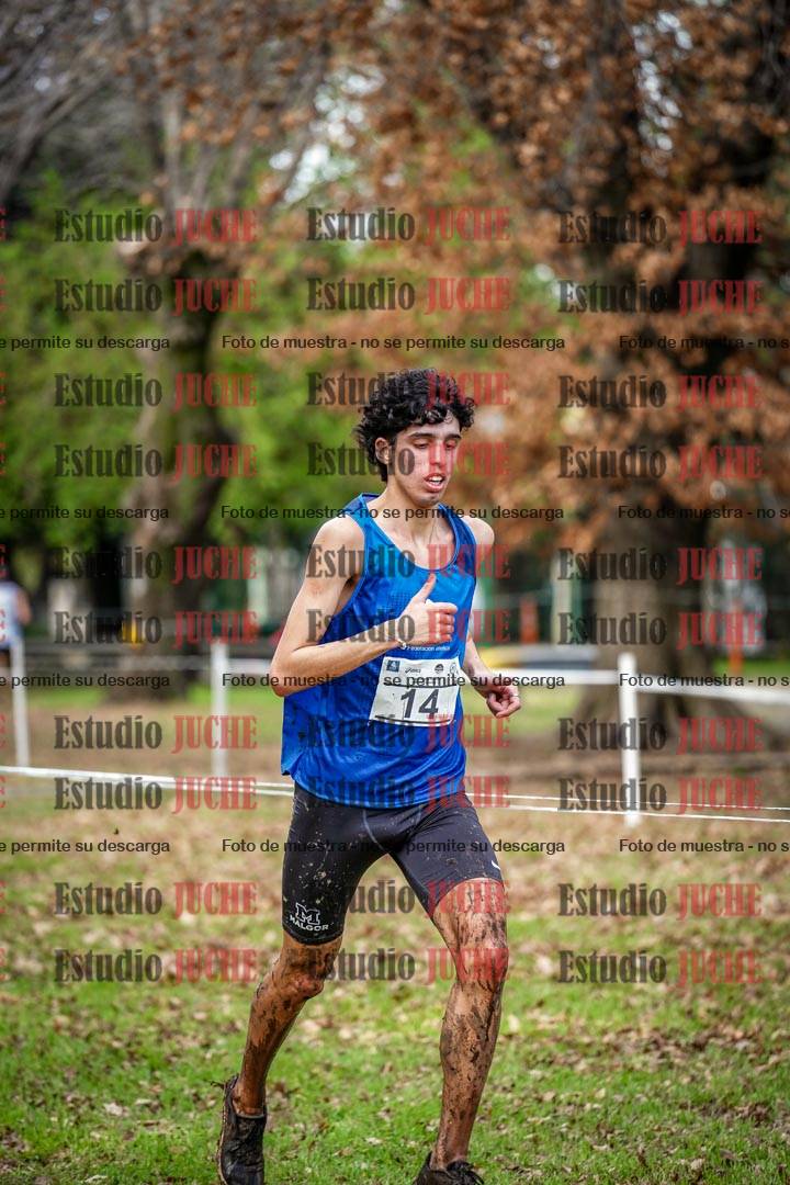 Fotos en el circuito