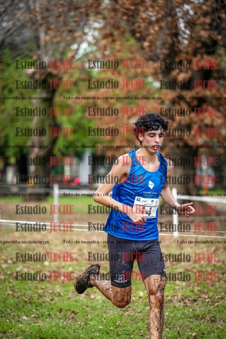 Fotos en el circuito
