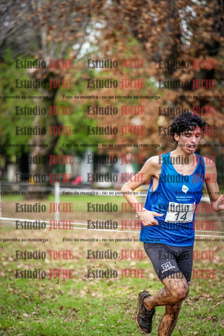 Fotos en el circuito