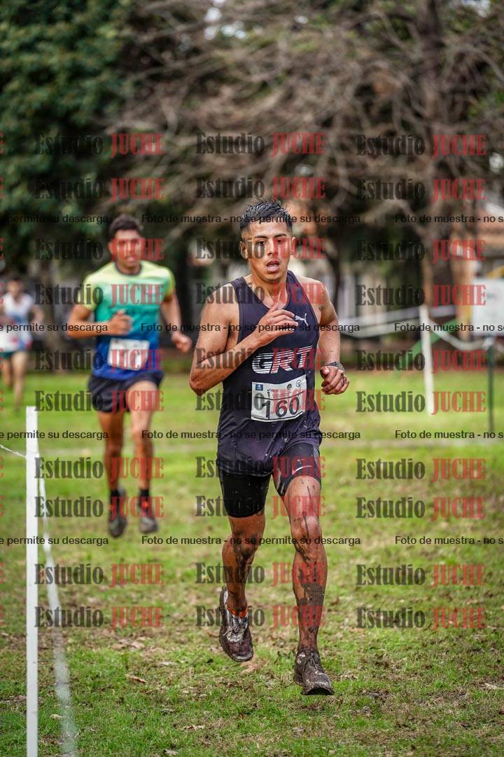 Fotos en el circuito