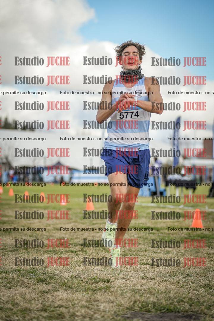 Fotos de las llegadas