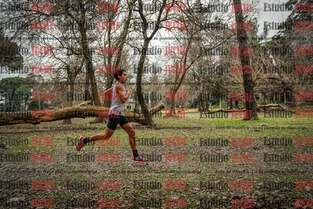 Fotos en el circuito