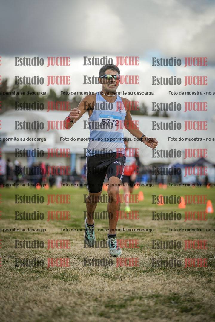 Fotos de las llegadas
