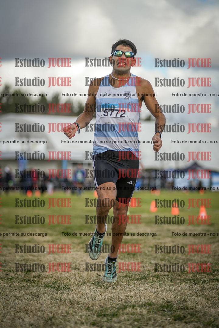 Fotos de las llegadas