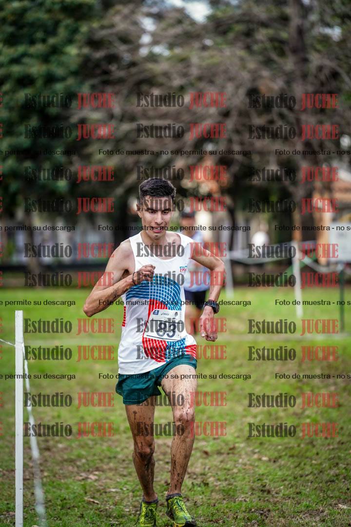 Fotos en el circuito