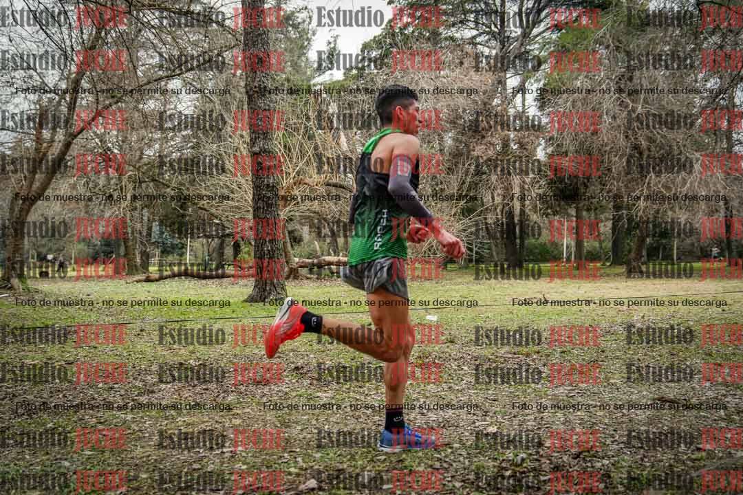 Fotos en el circuito