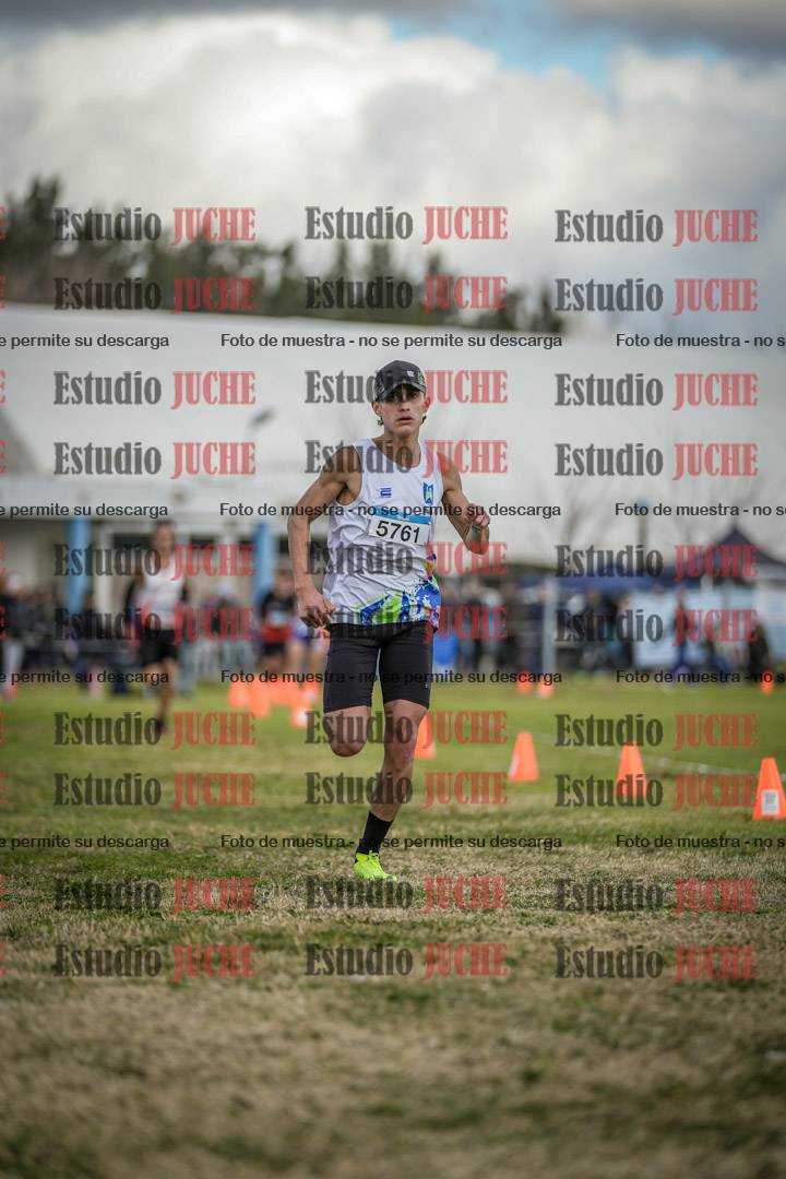 Fotos de las llegadas