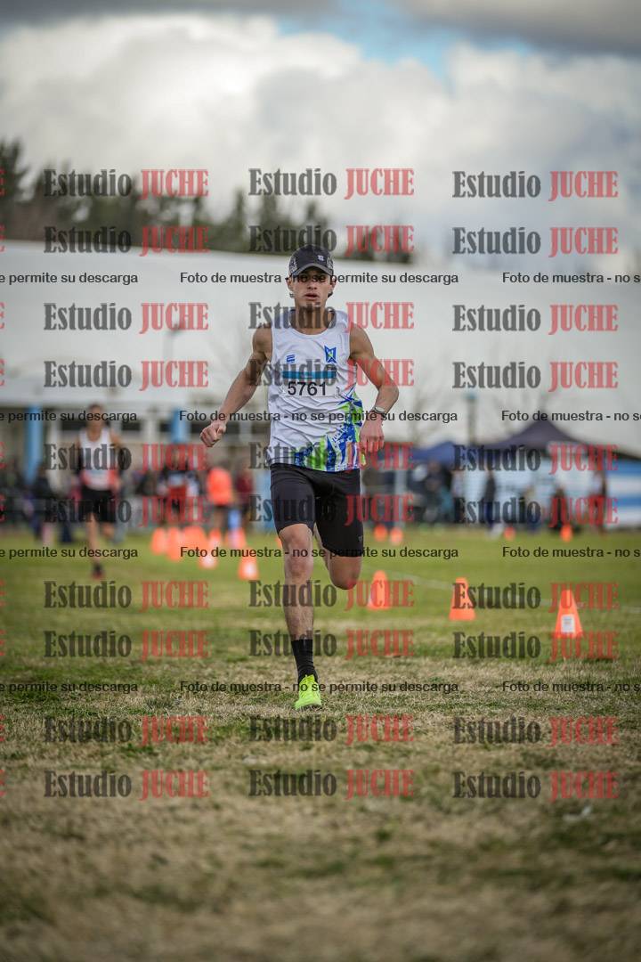 Fotos de las llegadas