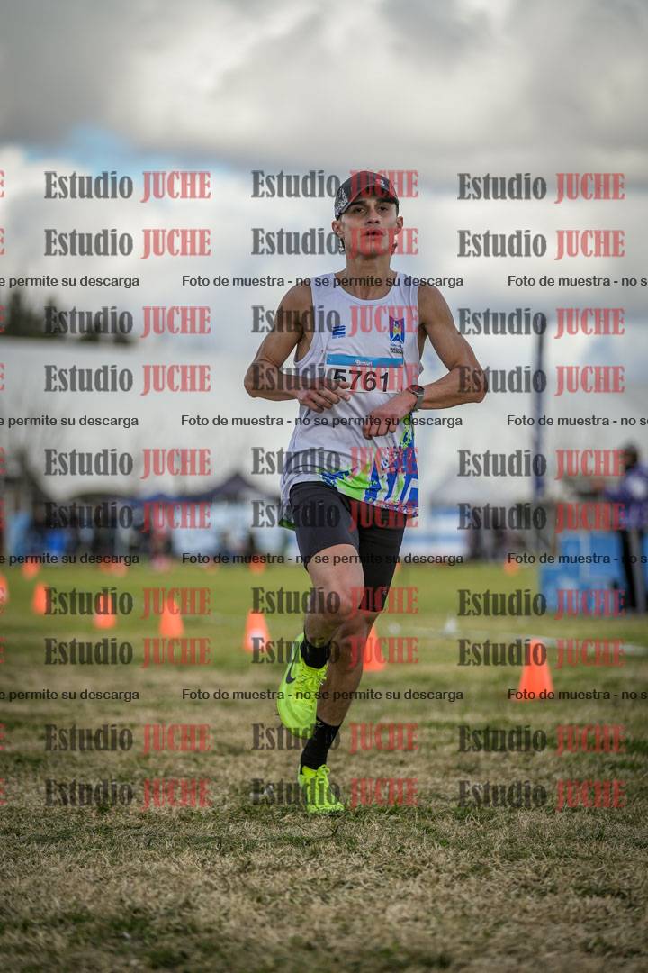 Fotos de las llegadas