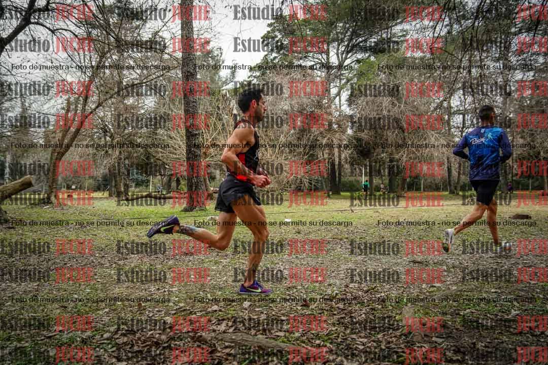 Fotos en el circuito