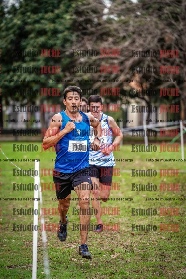 Fotos en el circuito