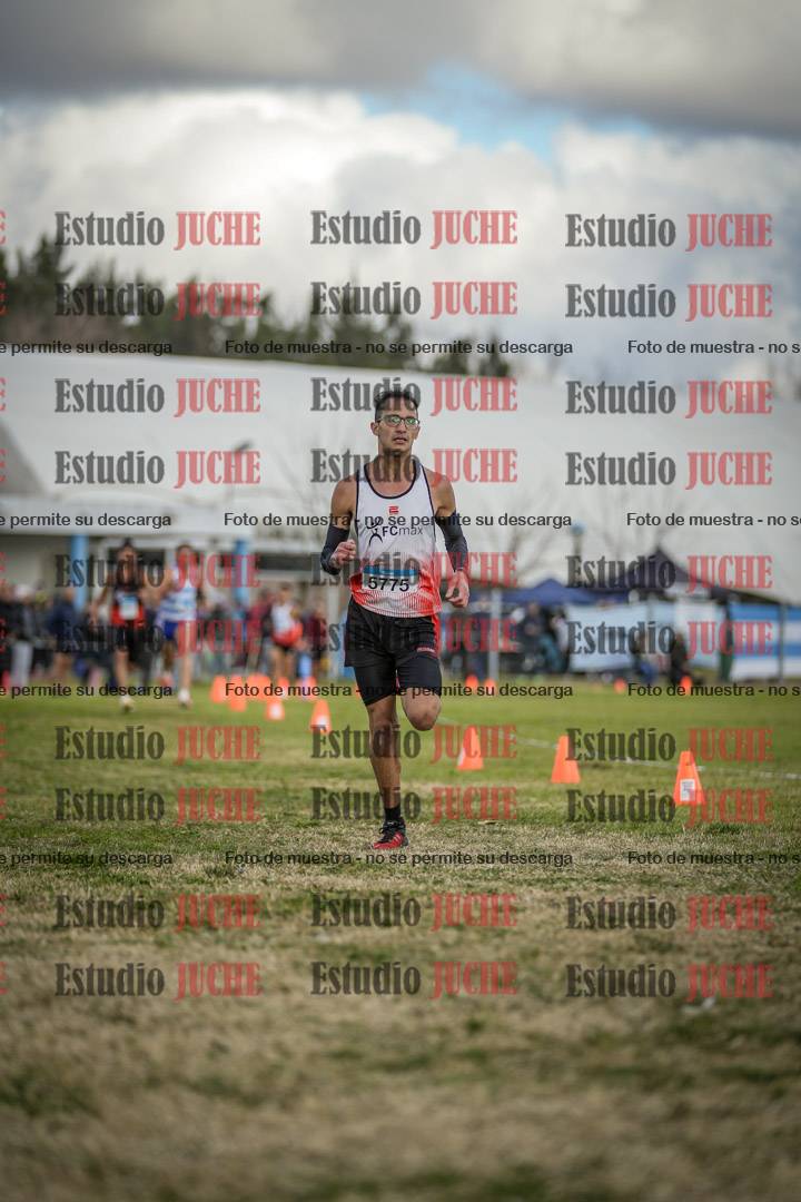 Fotos de las llegadas