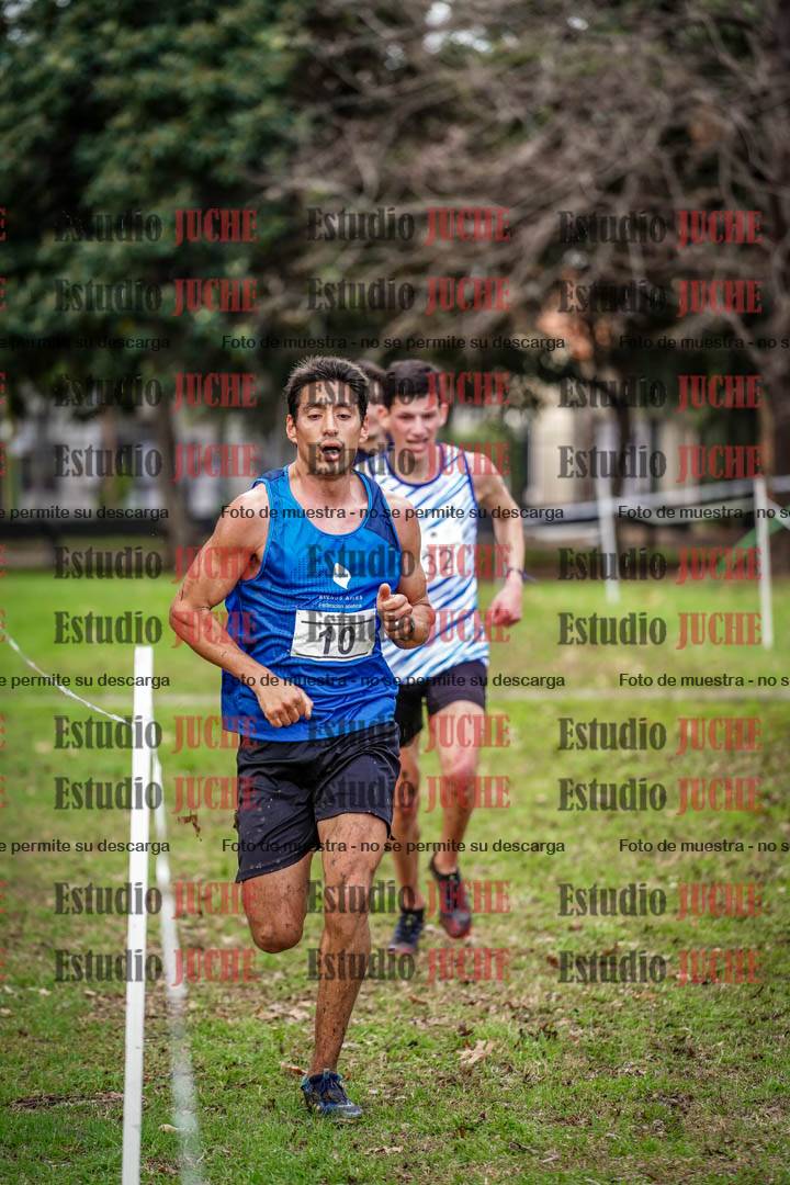 Fotos en el circuito