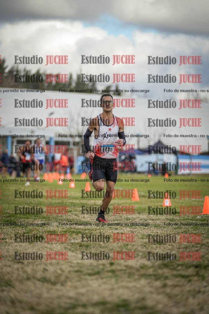 Fotos de las llegadas