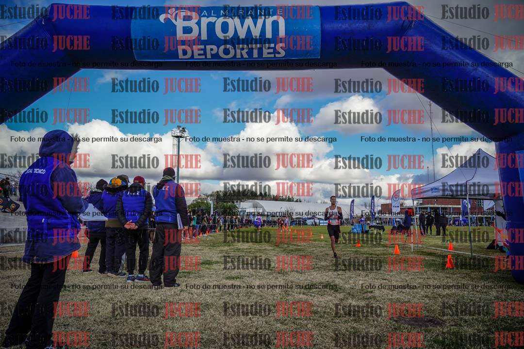Fotos de las llegadas