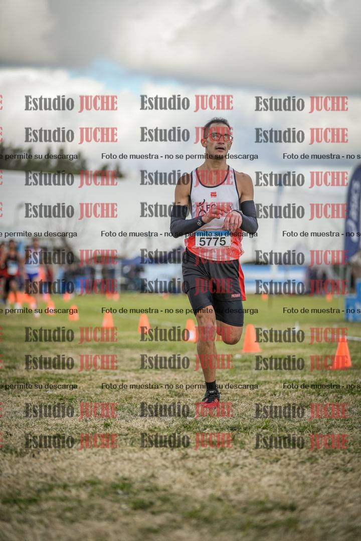 Fotos de las llegadas