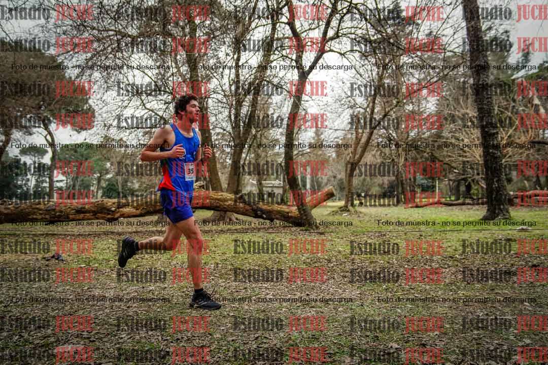 Fotos en el circuito