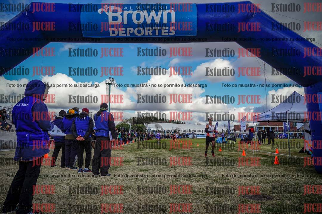 Fotos de las llegadas